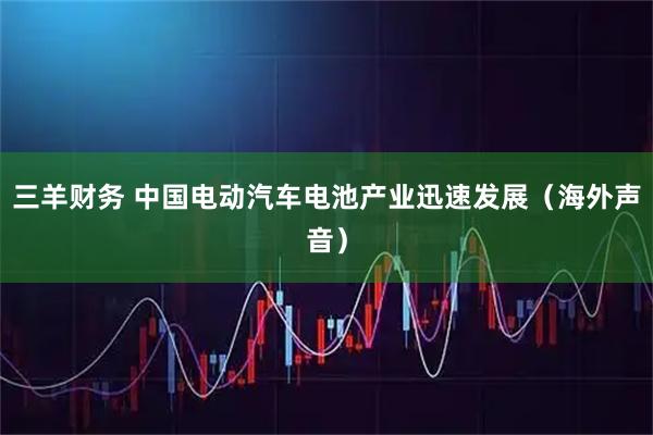三羊财务 中国电动汽车电池产业迅速发展（海外声音）