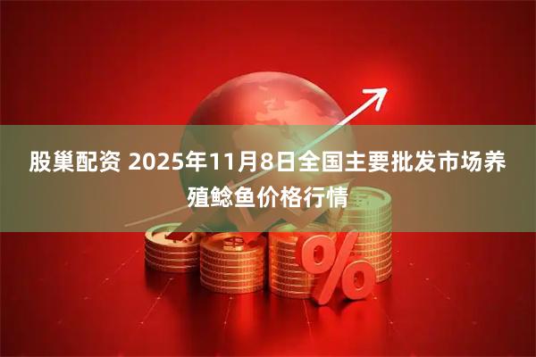 股巢配资 2025年11月8日全国主要批发市场养殖鲶鱼价格行情