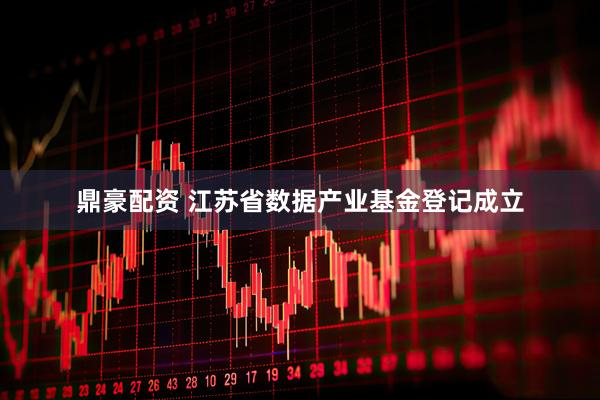 鼎豪配资 江苏省数据产业基金登记成立