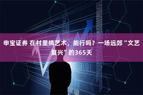 申宝证券 在村里搞艺术，能行吗？一场远郊“文艺复兴”的365天