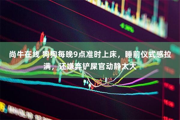 尚牛在线 狗狗每晚9点准时上床，睡前仪式感拉满，还嫌弃铲屎官动静太大